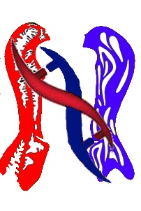 N